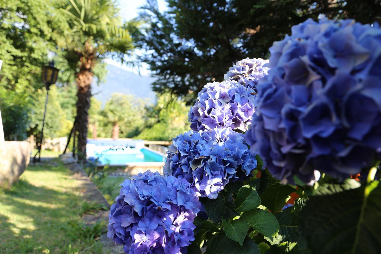 Casa Scerina Apartment Sementina Bagian luar foto